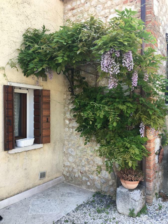 Casa Eulalia Villa Borso del Grappa Eksteriør billede